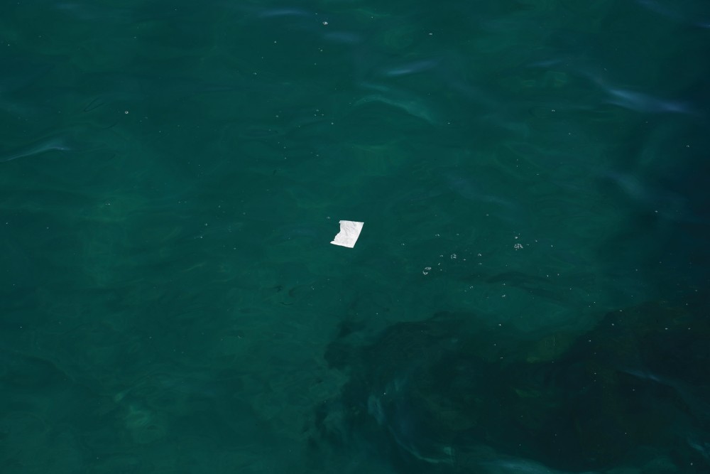 Marco Godinho, Left to their own fate #2, 2019, research material. Courtesy of the artist. Photo: Marco Godinho