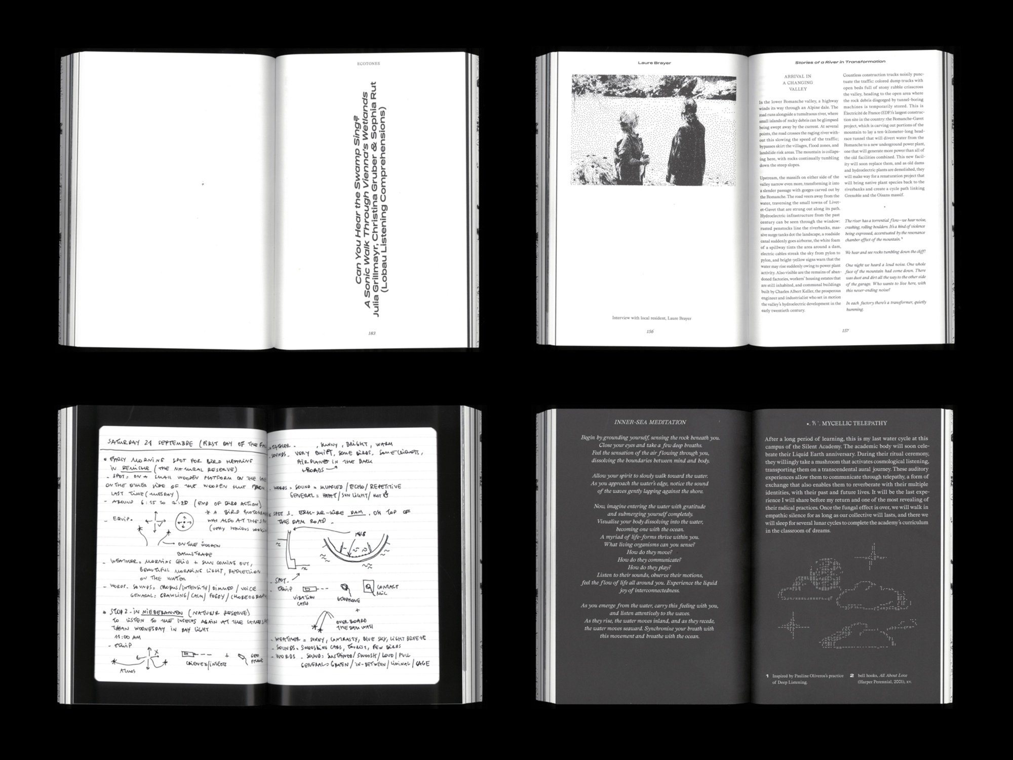 Ecotones: Investigating Sounds and Territories
