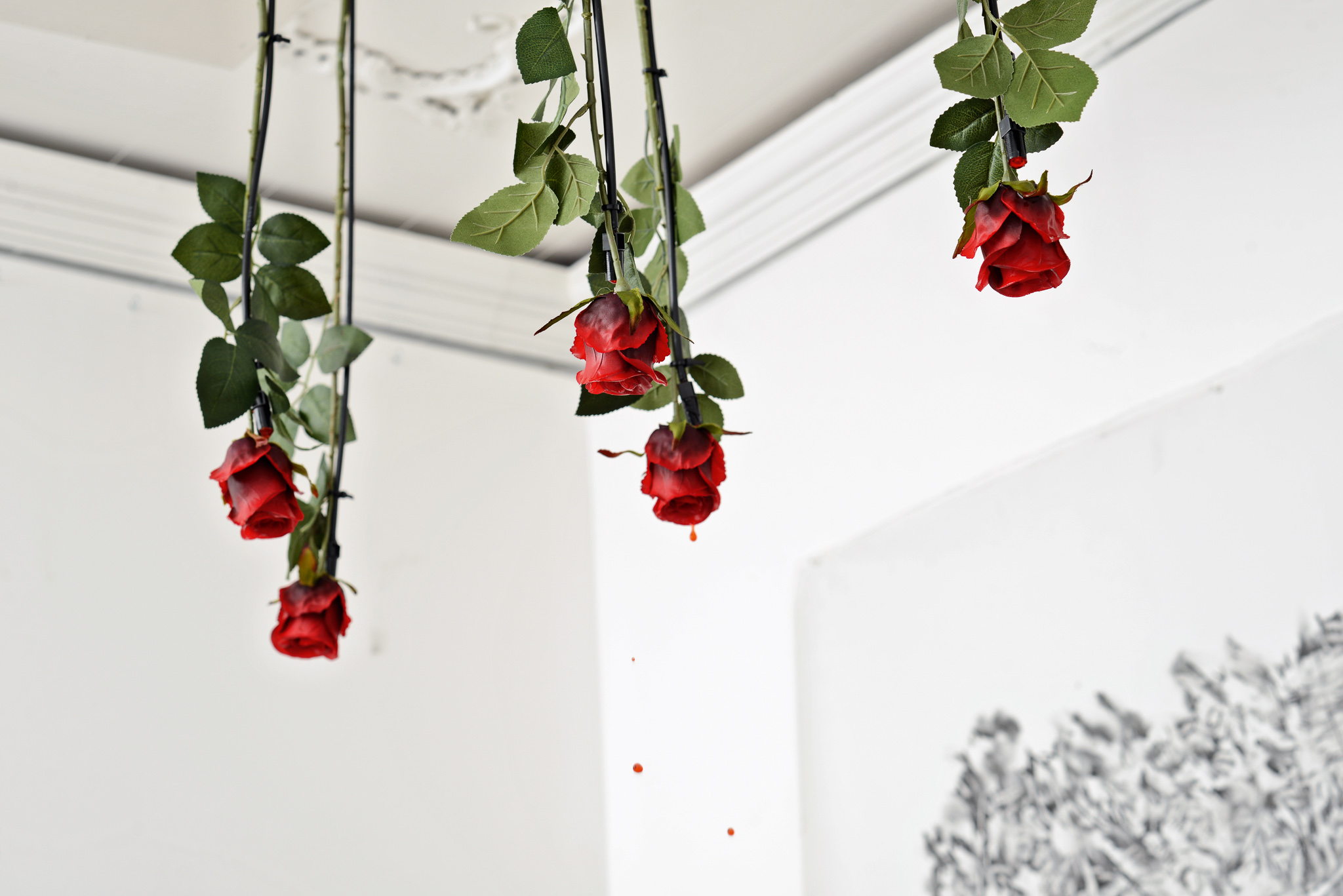 Installation photos © Christian Mosar