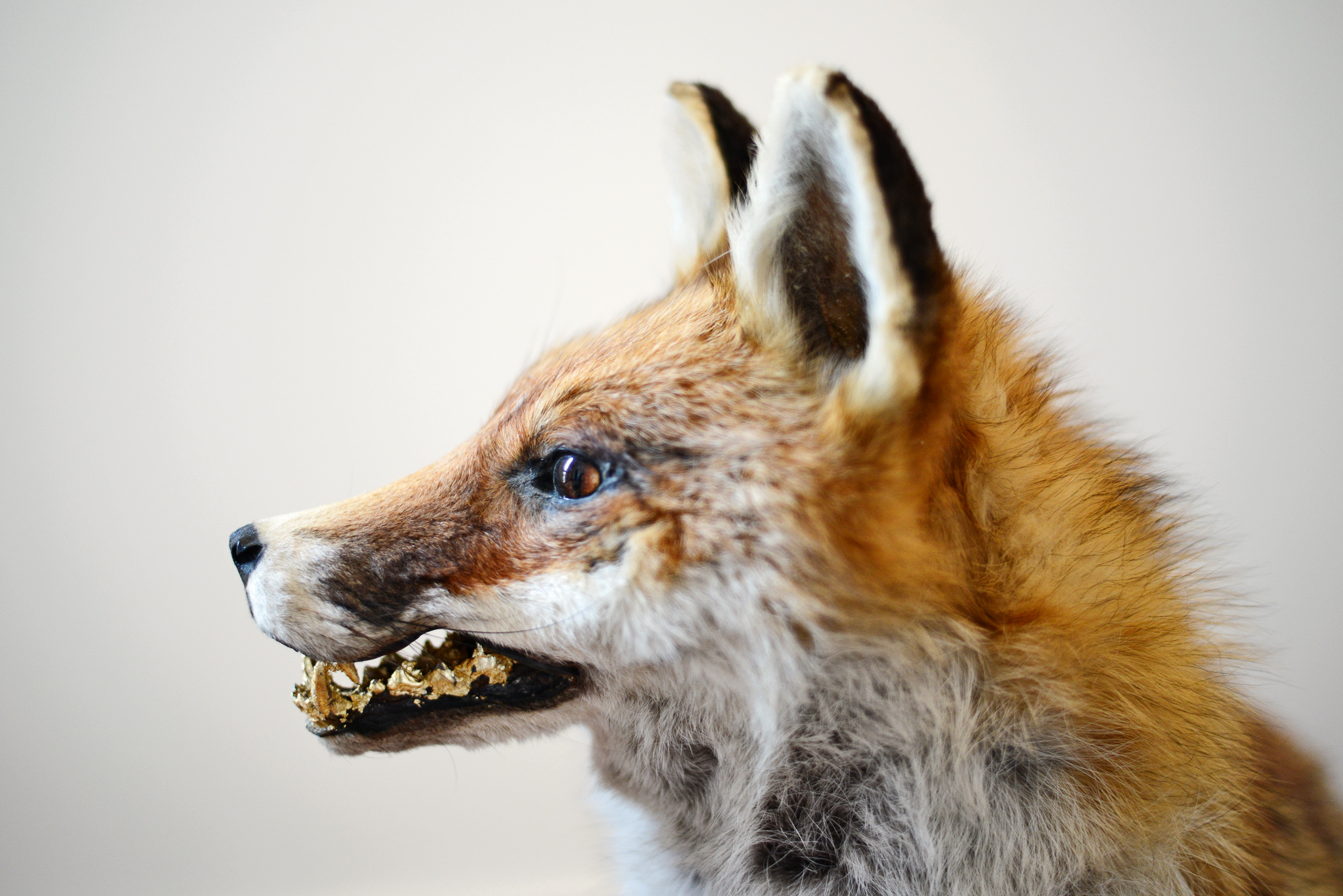 Installation photos © Christian Mosar